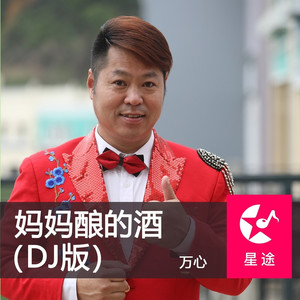 妈妈酿的酒 (DJ版)