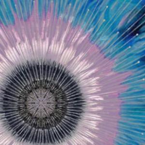 廿廿-重启(Instruments)