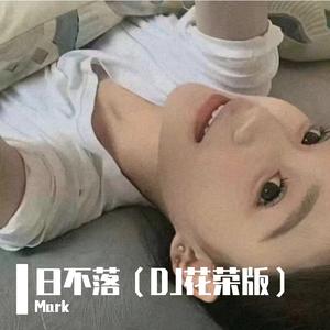 日不落（DJ花荣 ProgHouse Mix）