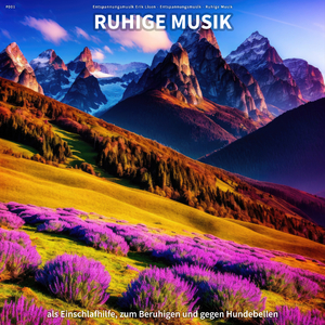 Ruhige Musik