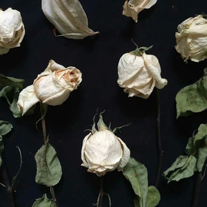 Six Feet Under [Live]（翻自 Billie Eilish）