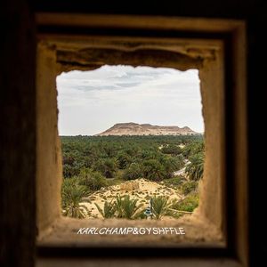 [Free]"霜刃无声" Chill & Trap