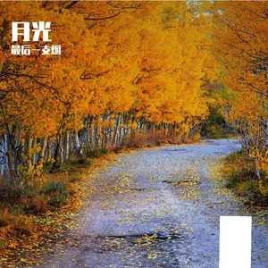 轻语