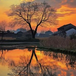 充满希望的一天(经典轻音乐)