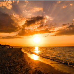 许嵩 玫瑰花的葬礼