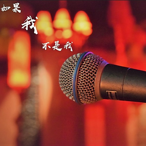 如果我不是我