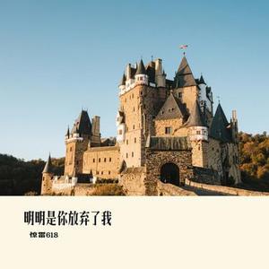 明明是你放弃了我