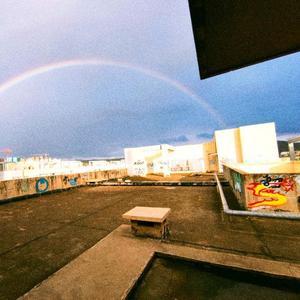 羽毛落在湖面，在黄昏蹒跚时分