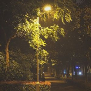 慵懒的夏夜 路灯光晕里都是飞蛾