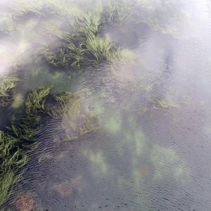 GS.L-房间里开始下起雨（张文浩Harry remix）