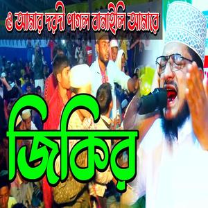 শেখ সাদী আব্দুল্লাহ সাদেকপুরী জিকির _ ও আমার দরদী পাগল বানাইলি আমারে _ jikir TV _ sadek puri jikir