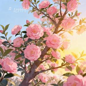 茶花开了，该回家了 (DJ版) (Cover 王睿卓 & 加木)
