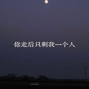 你走后只剩我一个人
