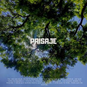 Paisaje