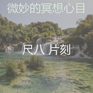 一尘不染回春印象数
