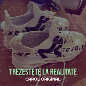 Trezestete La Realitate
