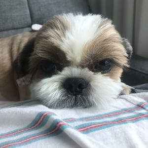 오빠랑 가는 길