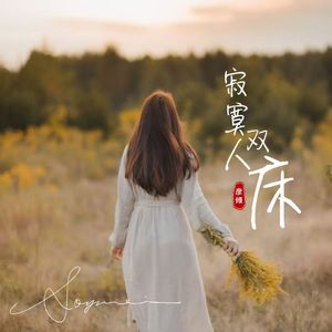 寂寞双人床(广场舞曲）