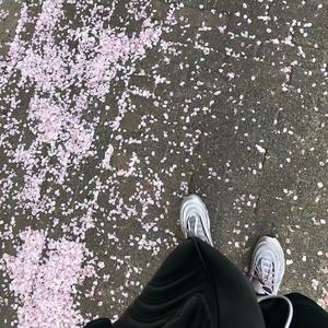 F.I.R.-心之火-咚鼓(Xing Remix)