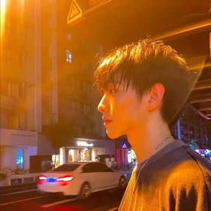 温热蝙蝠日记Acoustic