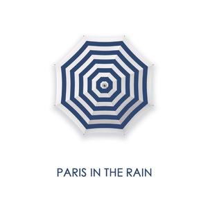 paris in the rain