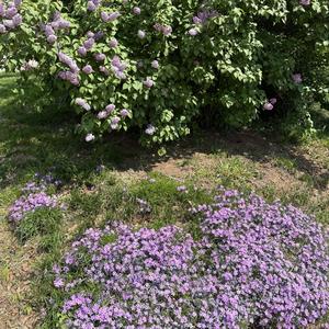 hate song (feat. Rayley Simone)