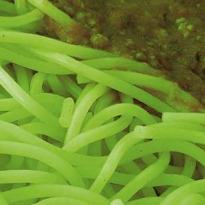 JAAKKO SAARILUOMA FLOW