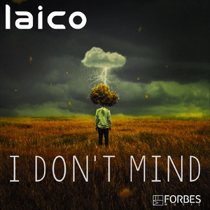 Laico - I Don't Mind (feat. Lipe Forbes)
