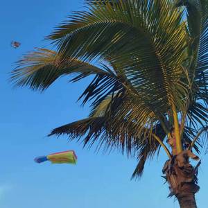 我们一同在路上