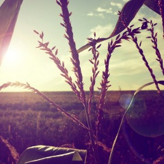 时光你能不能慢一些