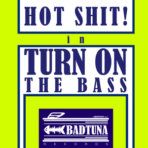 Turn On The Bass (Original Mix)