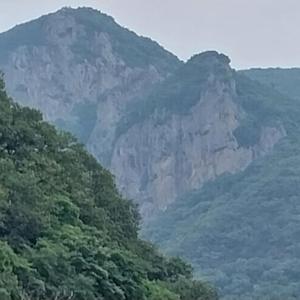 English Song The Light of Ten Thousand Names무수한 이름의 빛 여래명호품8-2