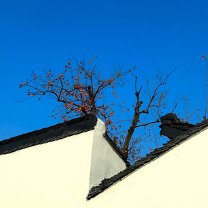 用背脊唱情歌片段（翻唱）