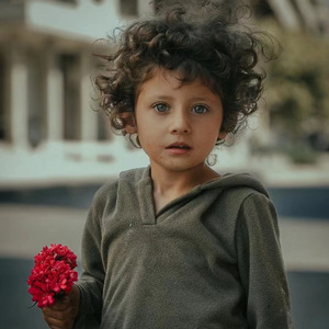 大马士革的玫瑰