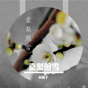 棠梨煎雪