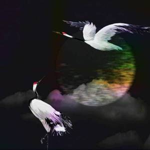 浮生(prod by 4Hunnid)