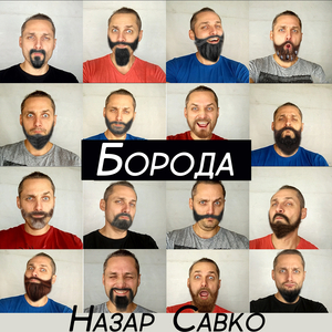 Борода