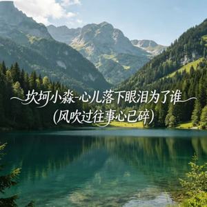 心儿落下眼泪为了谁(风吹过往事心已碎)