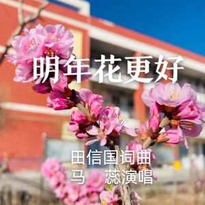 明年花更好