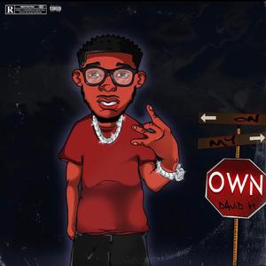 YOU CAN'T TAKE MY FANS