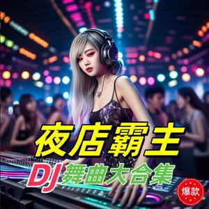 深圳 (DJ版) (Remix)