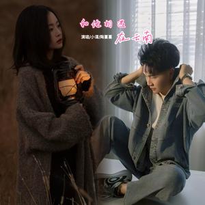 和他相遇在云南 (现场)