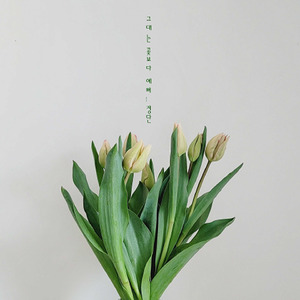 그대는 꽃보다 예뻐 (instrumental)