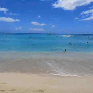 伤心的人走不出回忆