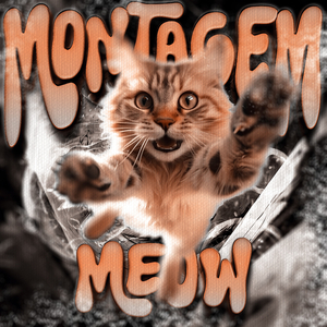 MEOW MONTAGEM ((ULTRA SLOWED))