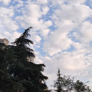 江边遐想（未完成）