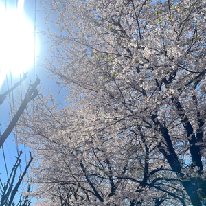 悸-零碎回忆录（悸 remix）