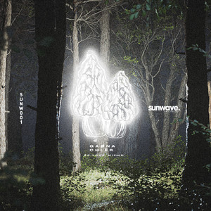 No Te Dejes Engañar