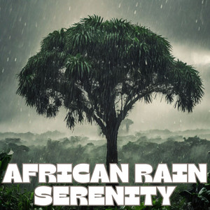 Rainfall Reverie: Dreamy ASMR Rain Sounds for Blissful Nights