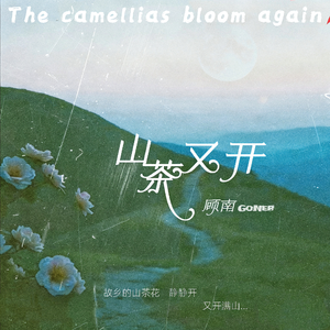 山茶又开